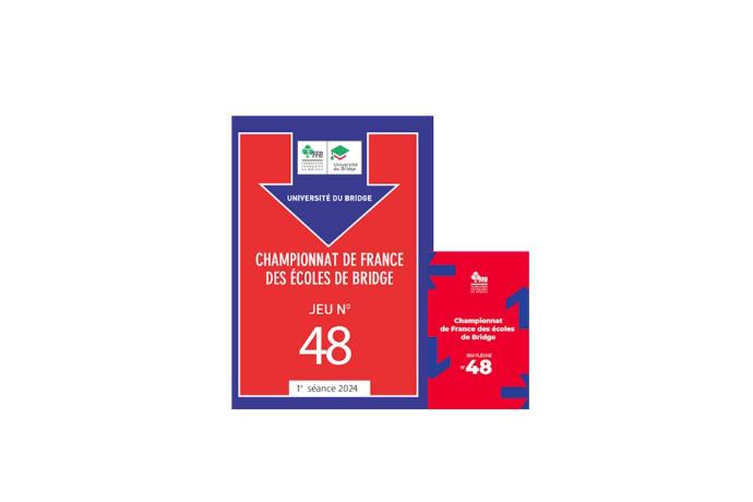 JEUX FLECHES CFEB ROUGE 48