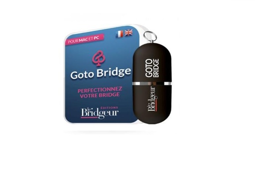 [BR0157] GOTO BRIDGE LOGICIEL