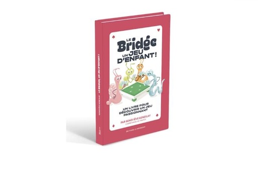 [BR0176] LE BRIDGE UN JEU D'ENFANT !